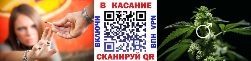 Купить закладку Псилоцибиновые грибы  МЕФ  АМФЕТАМИН  ГАШ  Cocaine  Киренск