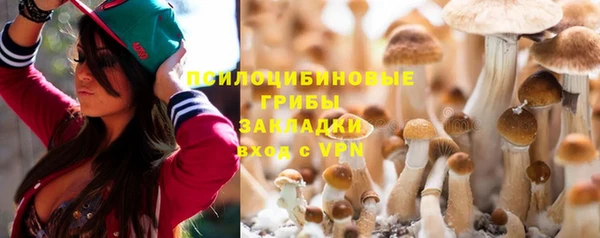 jwh Гусь-Хрустальный