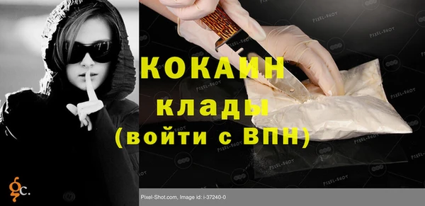 круглые Гусев