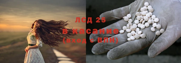 круглые Гусев