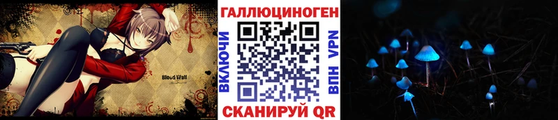 Псилоцибиновые грибы Cubensis  Купить где  Киренск 